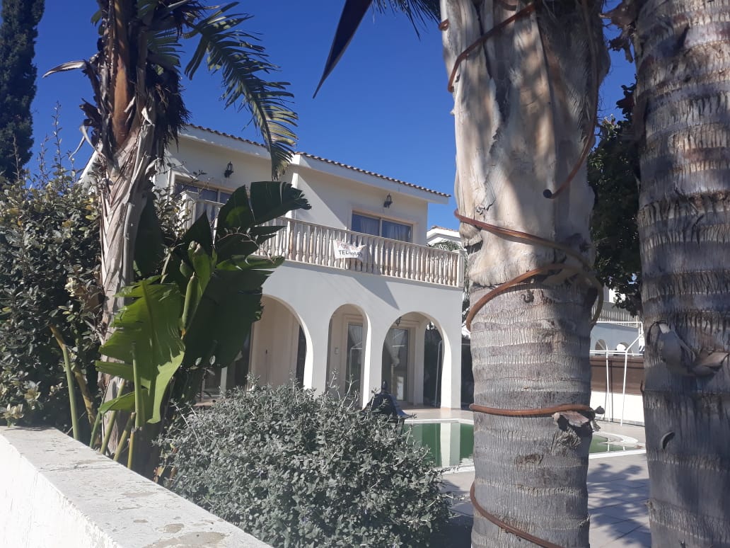 long term rent Peyia Paphos