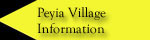 long term rent Peyia Paphos