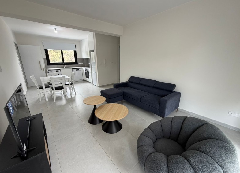 long term villa Paphos